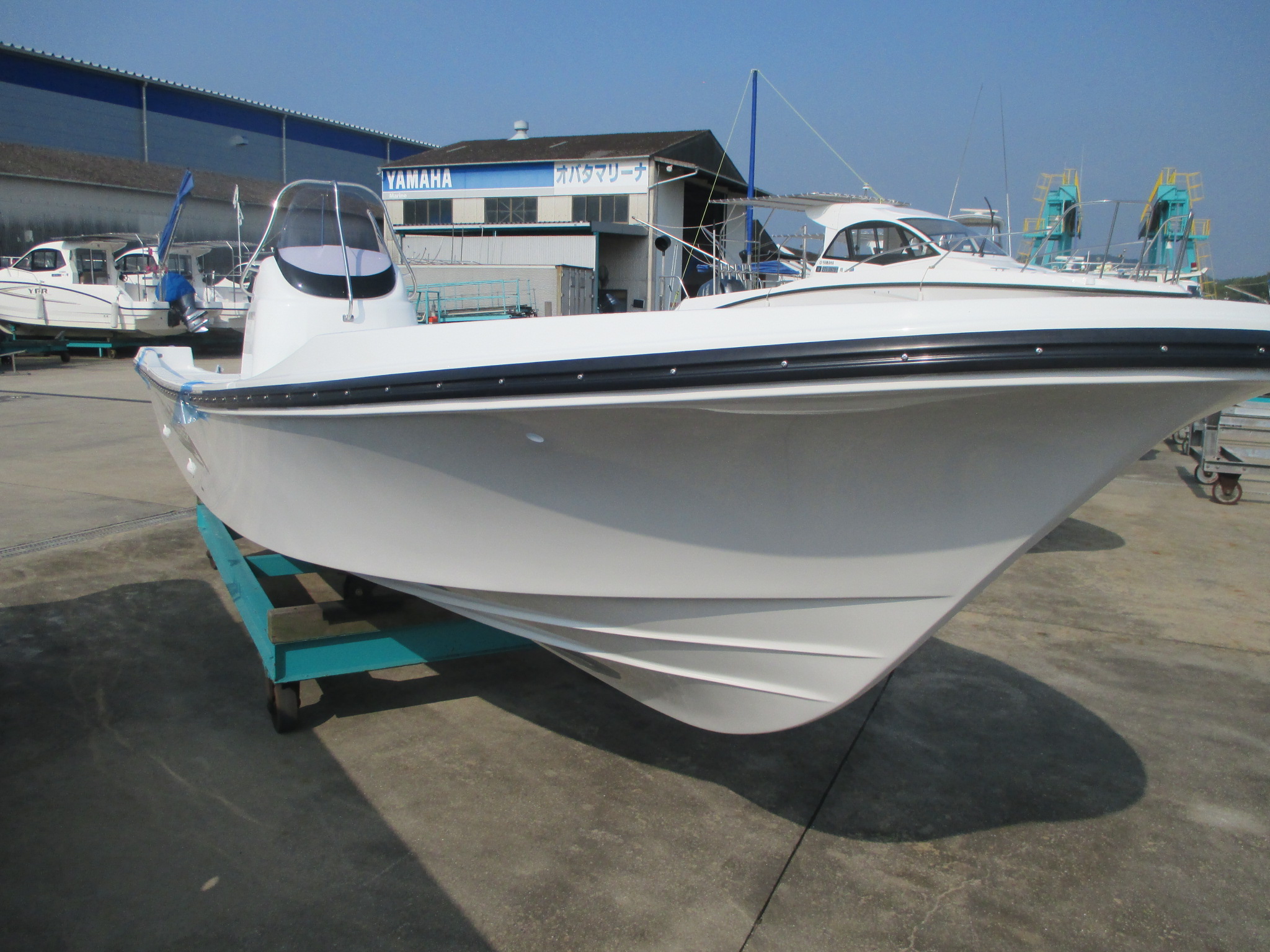 Bay Fisher25